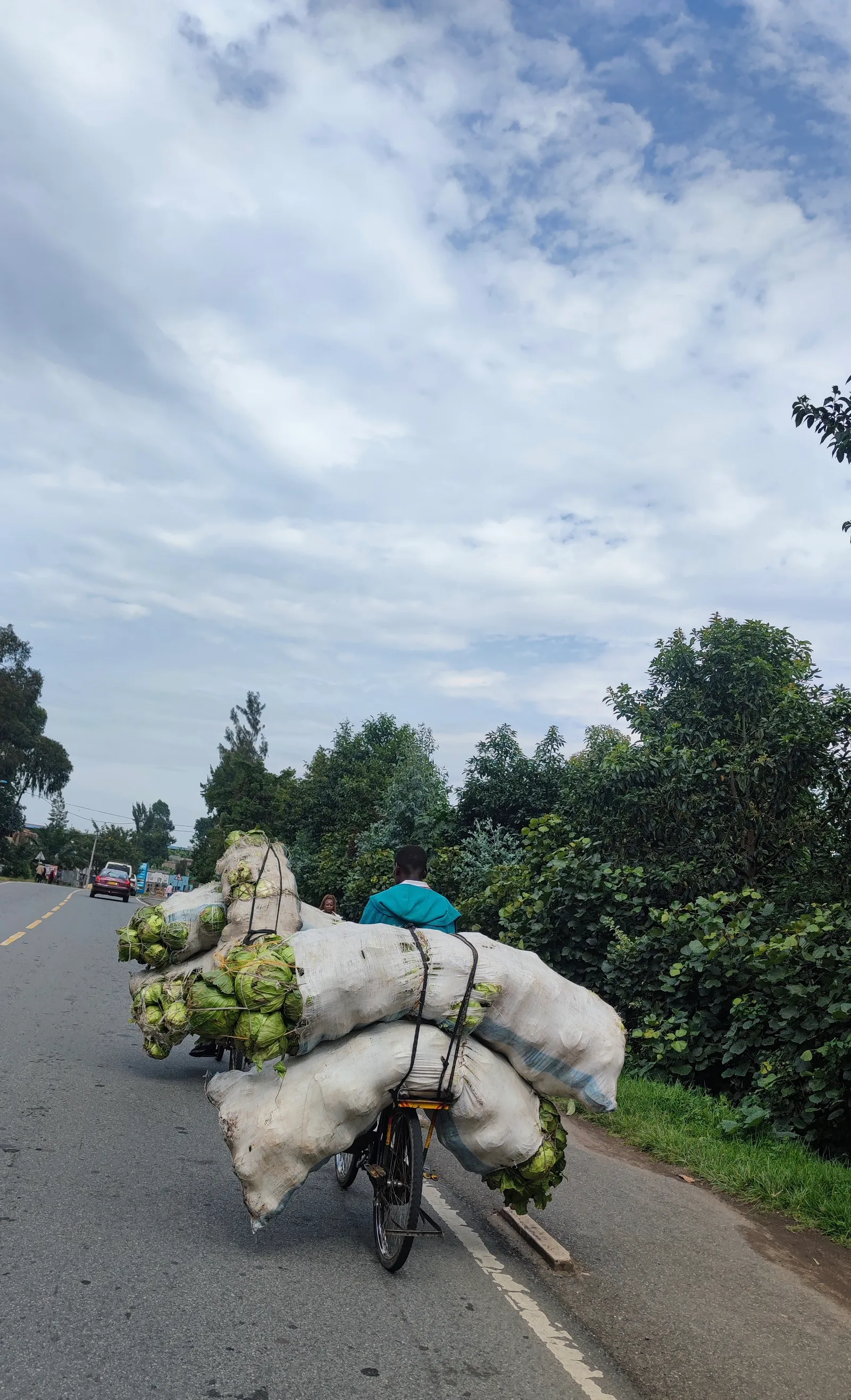 Umuhinzi utwaye amashu ku igare i Musanze