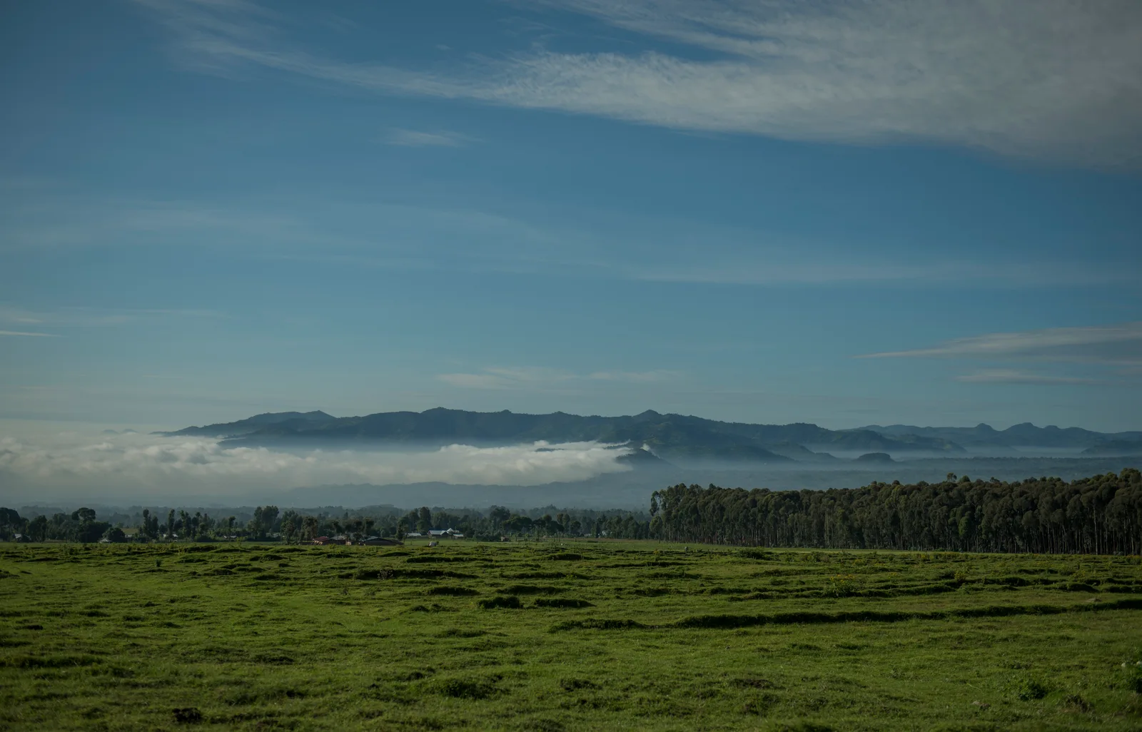 Imirima n’imisozi mu gihu i Kinigi, Musanze